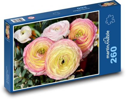 Pryskyřník - květina, rostlina - Puzzle 260 dílků, rozměr 41x28,7 cm