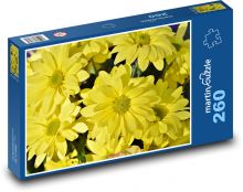 Chryzantéma - žluté květy, rostlina  Puzzle 260 dílků - 41 x 28,7 cm