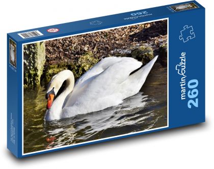 Labuť - vodní pták, zvíře - Puzzle 260 dílků, rozměr 41x28,7 cm