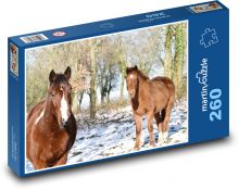 Konie - zwierzęta, śnieg Puzzle 260 elementów - 41x28,7 cm