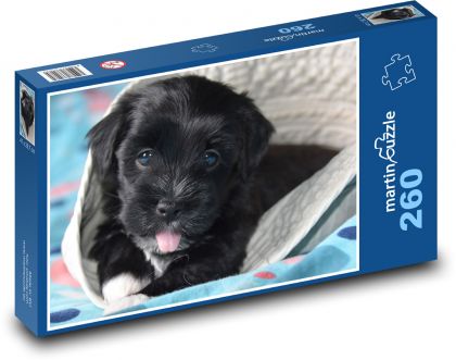 Pies - szczeniak, zwierzęta - Puzzle 260 elementów, rozmiar 41x28,7 cm