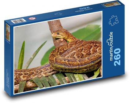 Straszne - wąż, gad - Puzzle 260 elementów, rozmiar 41x28,7 cm