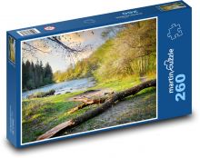 Pień drzewa - rzeka, las Puzzle 260 elementów - 41x28,7 cm