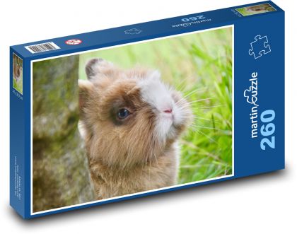 Trpaslík králik - zviera, cicavec - Puzzle 260 dielikov, rozmer 41x28,7 cm