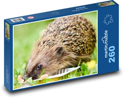 Ježko - zviera, jesť - Puzzle 260 dielikov, rozmer 41x28,7 cm