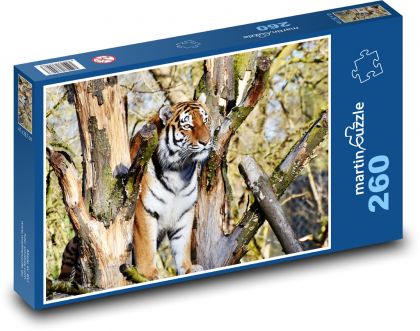 Tiger - veľká mačka, divoký - Puzzle 260 dielikov, rozmer 41x28,7 cm