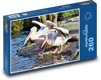 Pelikán - růžový pták, zobák - Puzzle 260 dílků, rozměr 41x28,7 cm