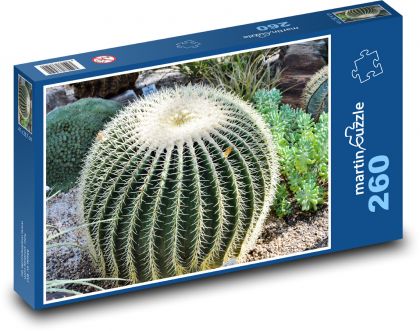 Kaktus - pichľavá rastlina, kvet - Puzzle 260 dielikov, rozmer 41x28,7 cm