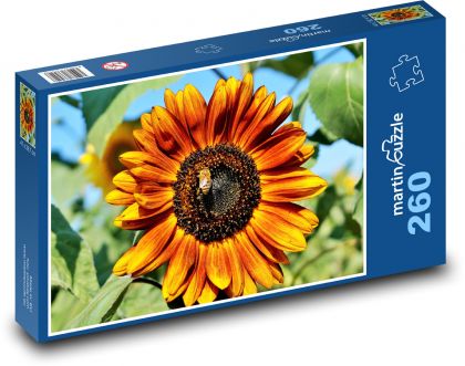 Sunflower - flower, plant - Puzzle 260 pieces, size 41x28.7 cm 