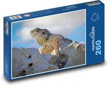Agama - plaz, ještěrka Puzzle 260 dílků - 41 x 28,7 cm
