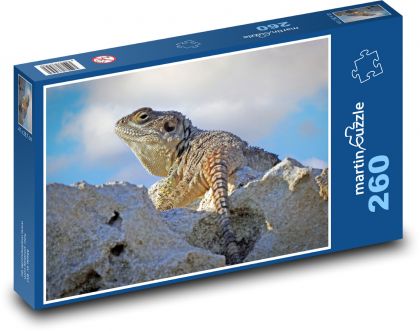 Agama - plaz, ještěrka - Puzzle 260 dílků, rozměr 41x28,7 cm