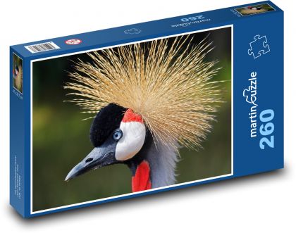 Jeřáb černý - pták, zvíře - Puzzle 260 dílků, rozměr 41x28,7 cm