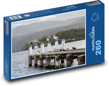 Pelikán - pták, molo - puzzle 260 dílků