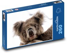 Medvídek koala - vačnatec, zvíře Puzzle 260 dílků - 41 x 28,7 cm