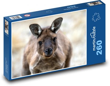 Klokan - zvíře, Austrálie - Puzzle 260 dílků, rozměr 41x28,7 cm