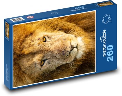 Lev - divoké zvíře, savec - Puzzle 260 dílků, rozměr 41x28,7 cm