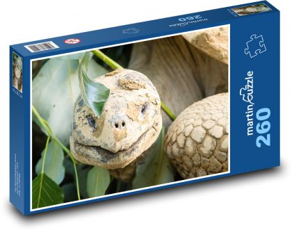 Galapágská obří želva - plaz, zvíře - Puzzle 260 dílků, rozměr 41x28,7 cm