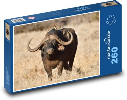 Buvol - divoké zvíře, savana - Puzzle 260 dílků, rozměr 41x28,7 cm