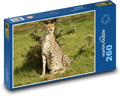 Gepard - divoká zvěř, Afrika - Puzzle 260 dílků, rozměr 41x28,7 cm