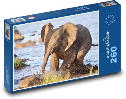Afrikanischer Elefant - Elefant, Baby - Puzzle - 260 Teile