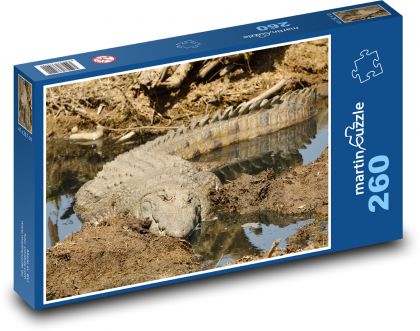 Nile crocodile - wildlife, animal - Puzzle 260 pieces, size 41x28.7 cm 