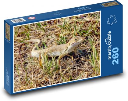 Jaszczurka - gad, zwierzę - Puzzle 260 elementów, rozmiar 41x28,7 cm