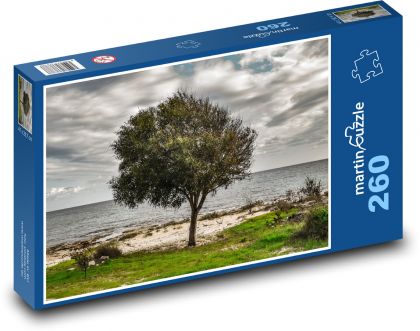 Strom pri mori - pláž, obloha - Puzzle 260 dielikov, rozmer 41x28,7 cm