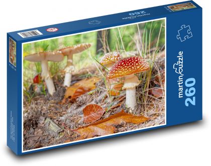 Hliva - hríb, les - Puzzle 260 dielikov, rozmer 41x28,7 cm