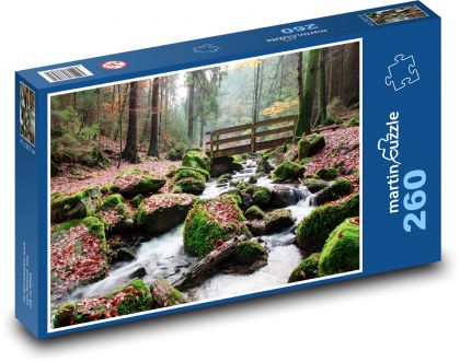 Teutoburg Forest - river, nature - Puzzle 260 pieces, size 41x28.7 cm 