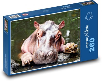 Hroch ve vodě - zvíře, savec  - Puzzle 260 dílků, rozměr 41x28,7 cm