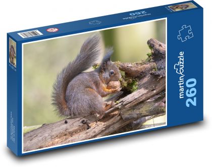 Wiewiórka - orzech, zwierzę - Puzzle 260 elementów, rozmiar 41x28,7 cm