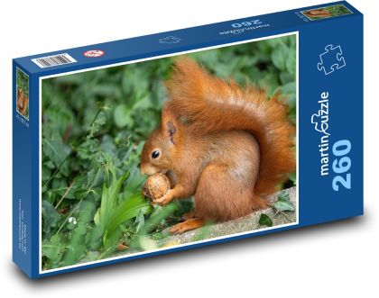 Squirrel - walnut, wild game - Puzzle 260 pieces, size 41x28.7 cm 