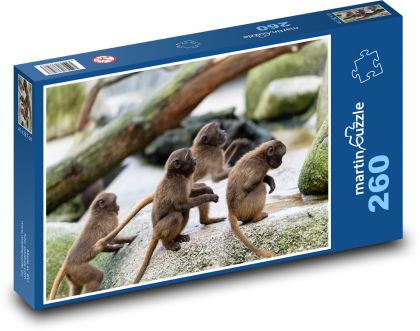 Opice - zvířata, zoo - Puzzle 260 dílků, rozměr 41x28,7 cm