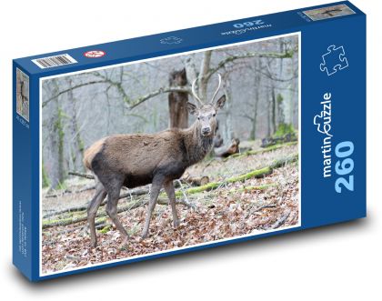 Hirsch - Tierwelt, Wald - Puzzle - 260 Teile