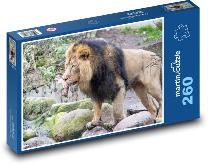 Lion - mammal, animal - Puzzle 260 pieces, size 41x28.7 cm 