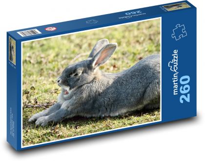 Rabbit - animal, spring - Puzzle 260 pieces, size 41x28.7 cm 