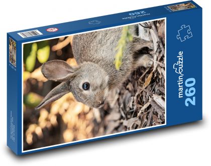 Rabbit - animal, rodent - Puzzle 260 pieces, size 41x28.7 cm 