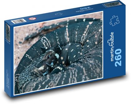 Varan - ještěrka, plaz - puzzle 260 dílků