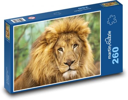 Lev - velká kočka, zvíře - Puzzle 260 dílků, rozměr 41x28,7 cm