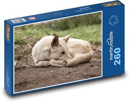 Dingo - mężczyzna, Australia - Puzzle 260 elementów, rozmiar 41x28,7 cm
