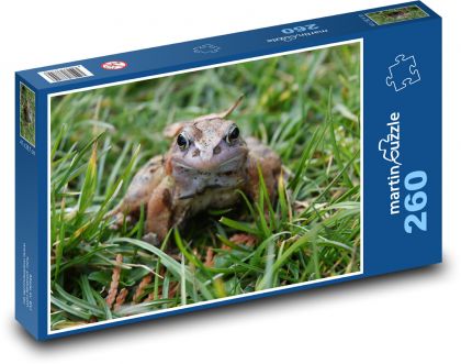 Żaba - płaz, natura - Puzzle 260 elementów, rozmiar 41x28,7 cm