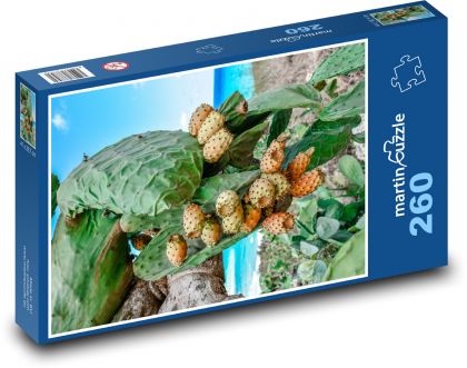 Opuncie - kaktus, ovocie - Puzzle 260 dielikov, rozmer 41x28,7 cm