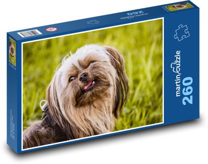 Yorkshire Terrier - dog, animal - Puzzle 260 pieces, size 41x28.7 cm 