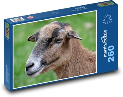 Kamerunská ovce - zvíře, farma - Puzzle 260 dílků, rozměr 41x28,7 cm