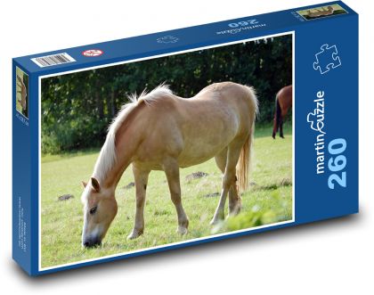 Kůň - pastvina, zvíře - Puzzle 260 dílků, rozměr 41x28,7 cm