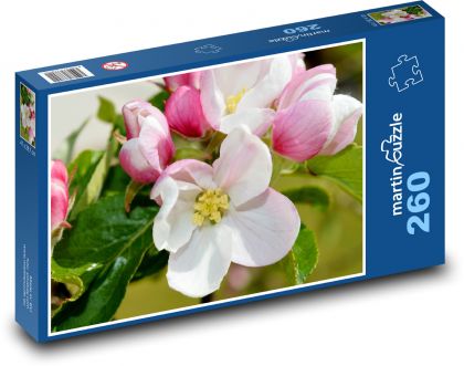 Květy jabloně - listy, strom - Puzzle 260 dílků, rozměr 41x28,7 cm