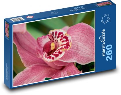 Orchid - flower, plant - Puzzle 260 pieces, size 41x28.7 cm 