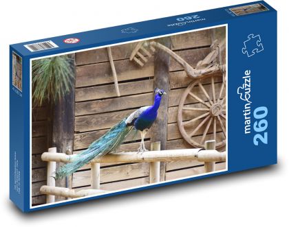 Peacock - animal, pens - Puzzle 260 pieces, size 41x28.7 cm 