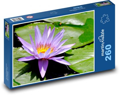 Purple water lily - plant, flower - Puzzle 260 pieces, size 41x28.7 cm 
