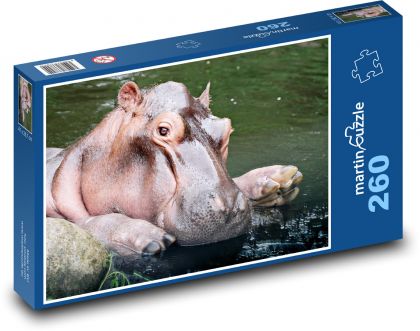 Hroch vo vode - zviera, cicavec - Puzzle 260 dielikov, rozmer 41x28,7 cm